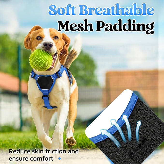 rabbitgoo Escape Proof Dog Harness for Small, No Pull with Lift Handle | No Escape, Full Soft Padded, Reflective Adjustable Vest, Leash Clip for Walking Hiking Training, Blue & Black, Small - Image 8