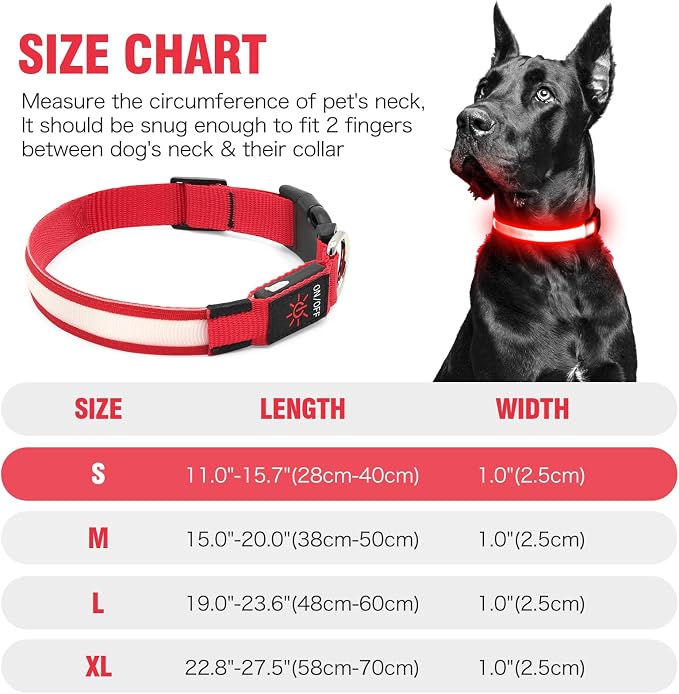 Illumifun Light Up Collar for Small Dogs, USB Rechargeable LED Dog Collar Glowing in the Dark, Safety Collar Light for Your Pups (Red, Small) - Image 5