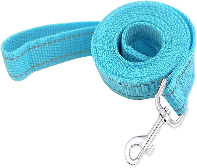 Reflective Dog Leash 4Ft /5 Foot /6 Feet Long, 1 Inch Wide, for Small and Medium Dogs by TAIDA