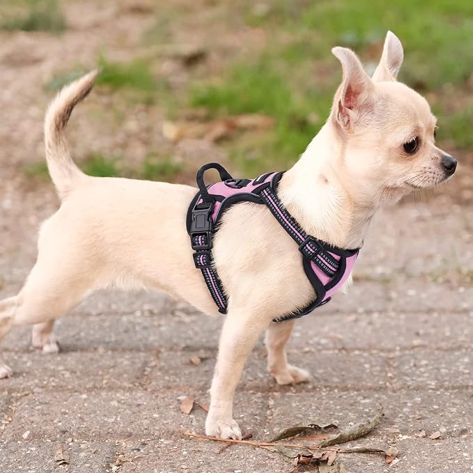rabbitgoo Dog Harness No Pull with 2 Leash Clips, Adjustable Soft Padded, Reflective Oxford No Choke Pet Vest with Easy Control Handle for Puppy, Pink, XS | No Choke with Handle, Adjustable Soft Padded, Reflective, Easy Control for Walking, Pink, X-Small - Image 8