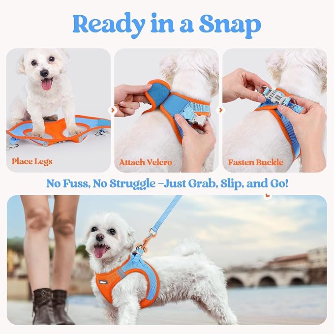 rabbitgoo Dog Harness Small Sized and Leash Set, Step-in Puppy Pet Vest | Light, Soft, Breathable Air Mesh, Easy on and Remove with Hook & Loop, Secure Reflective for Walking, Blue & Orange XS - Image 8