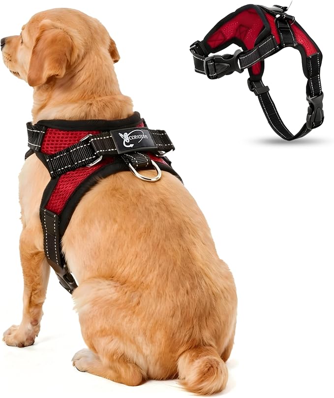 No Pull Reflective Adjustable Dog Harness with Handle- Comfortable Soft All Weather Mesh, Easy On Puppy Harness for Small Medium and Large Dogs (Red) Small by Copatchy
