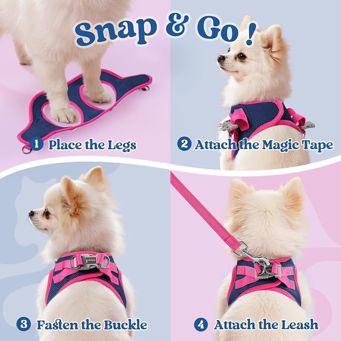 rabbitgoo Dog Harness Small Sized and Leash Set, Step in Soft Vest | Breathable Mesh, Easy Wear with Hook & Loop, Light and Reflective for Walking, Multi-colored, Navy Blue & Rose Red, M - Image 2