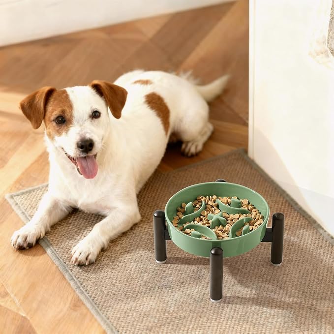 Elevated Slow Feeder Dog Bowl, 0.8 Cups Ceramic Raised Slow Feeder with Stainless Stand, 6.3 Inch Wide Lifted Dog Bowl for Small Breeds to Control Eating Speed, Green - Image 7