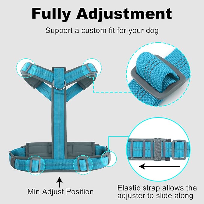 Plutus Pet No Pull Dog Harness, Adjustable Nylon Harness with Soft Padding | Reflective with Front Clip, Heavy Duty for Training and Walking, for Small Medium Large Dogs, Cyan, XL - Image 8