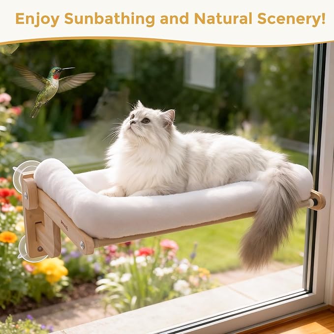 Pecute Foldable Cat Window Perch, Cloud-Soft Cat Bed with Wood Frame, 26" L | Solid Wood, Strong Suction Cup, Washable Cushion, Sided Bolster, Large Cat Hammock Indoor for Sunbathing, Bird Watching - Image 7