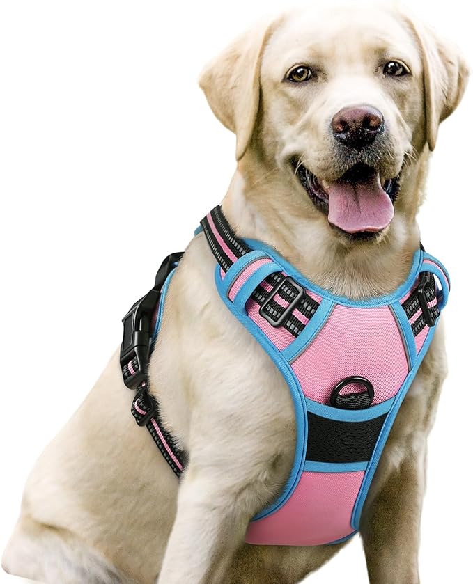 rabbitgoo Dog Harness, No Pull for Large Dogs with 2 Leash Clips, Pet Vest | No Choke with Handle, Adjustable Soft Padded, Reflective, Easy Control for Walking, Pink & Blue, Large by rabbitgoo