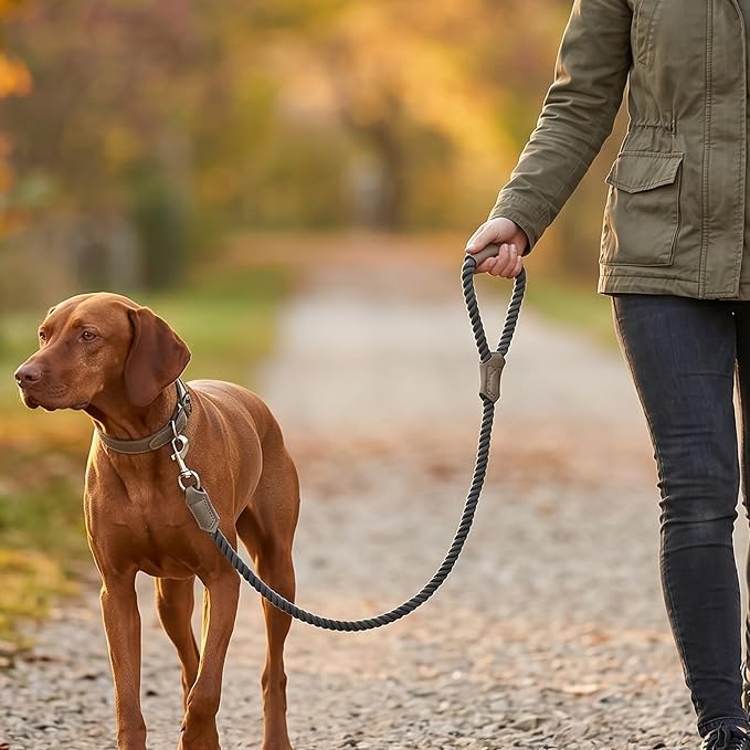 Mile High Life Dog Leash Braided Cotton Rope w/Leather-Wrapped Ends/Handle | Rust-proof 360° swivel clasp, Heavy-duty for medium/large dogs. Great for weddings, daily walks (4 FT, 1/2", Dark Gary) - Image 2
