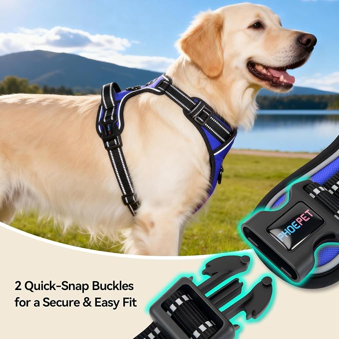 No Pull Dog Harnesses for Small Puppies Reflective Adjustable | Front Clip Vest with 2 Metal Leash Attachment Hooks Soft Handle [Over The Head Design](L, Royal Blue) - Image 7