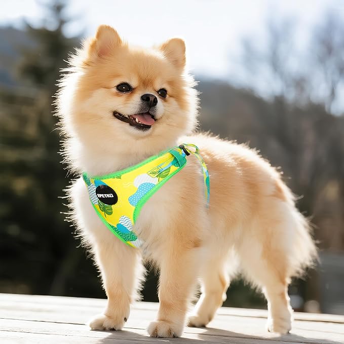 Small Dog Harness and Leash Set of 6, No Pull Soft Lightweight Mesh Puppy Harness， Adjustable Cute Floral Pattern Pet Harness for Small Medium Dogs (Green Leaf, XS) - Image 7