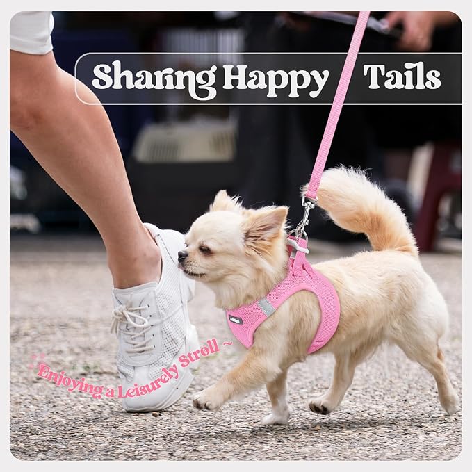 rabbitgoo Dog Harness Medium Sized and Leash Set, Step-in Puppy Pet Vest | Light, Soft, Breathable Air Mesh, Easy on and Remove with Hook & Loop, Secure Reflective for Walking, Light Pink XL - Image 9