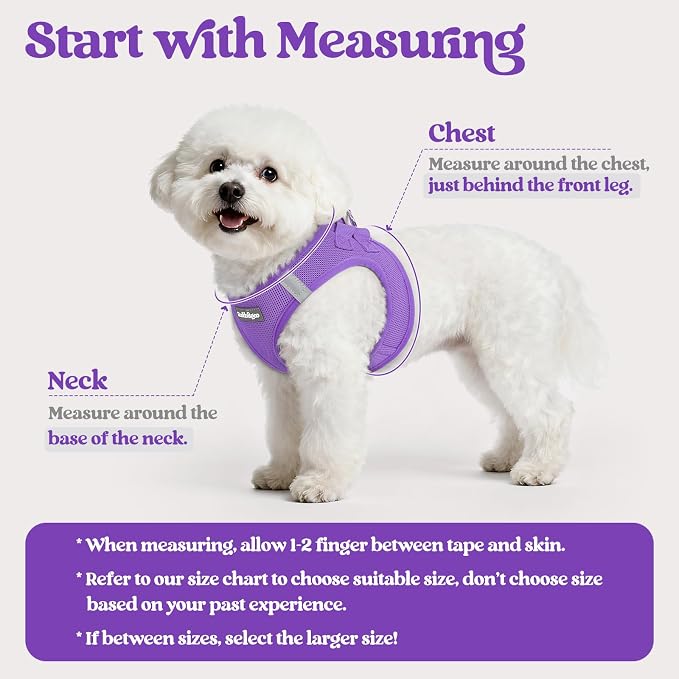 rabbitgoo Dog Harness Small Sized and Leash Set, Step-in Puppy Pet Vest | Light, Soft, Breathable Air Mesh, Easy on and Remove with Hook & Loop, Secure Reflective for Walking, Purple M - Image 2