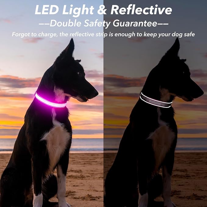 Visinite LED Dog Collar USB Rechargeable, Reflective Light Up Pet Collar for Night Walking, Adjustable Glow Collar for Small Medium Large Dogs (Pink, M) - Image 2