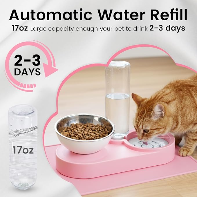 Double Elevated Dog Cat Food Water Bowls, Stainless Steel Cat Food Water Bowl with No-Spill Mat, Raised Tilted Dishes for Indoor Kitten, Puppies, Small or Medium Size Dogs Cats, Pink - Image 5