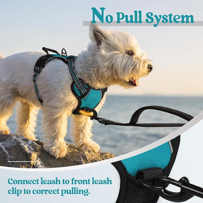 rabbitgoo Dog Harness No Pull with 2 Leash Clips, Adjustable Soft Padded, Reflective Oxford No Choke Pet Vest with Easy Control Handle for Puppy, Teal, XS | No Choke with Handle, Adjustable Soft Padded, Reflective, Easy Control for Walking, Teal, X-Small - Image 5