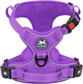 PoyPet No Pull Dog Harness, Reflective Vest with 2 Leash Clips & Handle | Lockable Neck Release Buckle, No Choke, Adjustable, Soft Padded, for Walking Training, Purple Matching Trim, Large by PoyPet