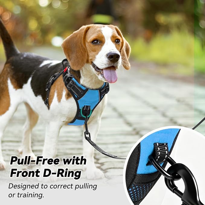 PoyPet No Pull Dog Harness Small with Front Clip & Neck Release Buckle | No Choke, Adjustable Vest, Reflective, Back Clip, Lockable, Soft Padded, Easy Control Handle for Walking Training, XS, Blue - Image 3