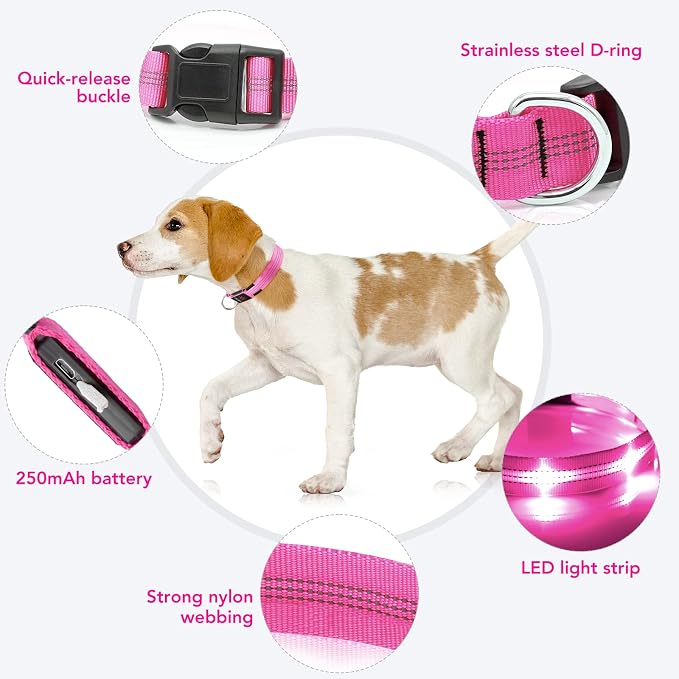 Weesiber Light Up Dog Collars - USB Rechargeable LED Dog Collar - Flashing LED Collar for Dogs - Glowing Dogs Lights for Night Walking (Pink, Medium Collar) - Image 3
