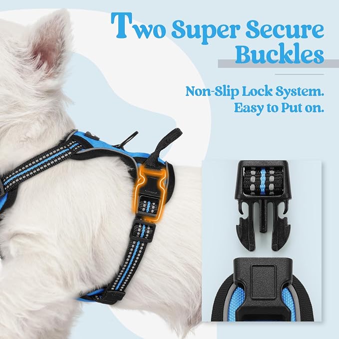 rabbitgoo Dog Harness, No Pull for Small Dogs with 2 Leash Clips, Pet Vest | No Choke with Handle, Adjustable Soft Padded, Reflective, Easy Control for Walking, Blue, X-Small - Image 3