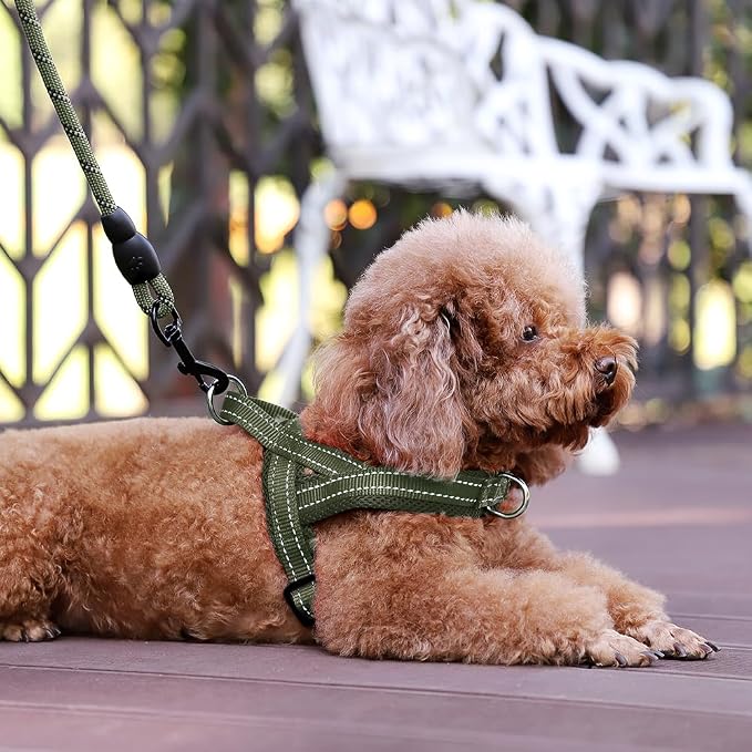 Plutus Pet No Pull Dog Harness for Small Dogs, Breathable Mesh Padded | Adjustable Reflective with Handle, Escape Proof, Quick Fit Pet Vest, Front Clip, for Training and Walking, Ranger Green, S - Image 6