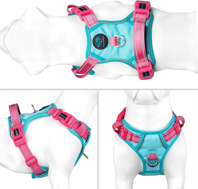 No Pull Dog Harness, Unique Colors Reflective Adjustable Dog Vest | with Soft Training Handle Metal Clips for Small Medium Large Dogs (Mint Green Base & Pink Straps,S) - Image 2