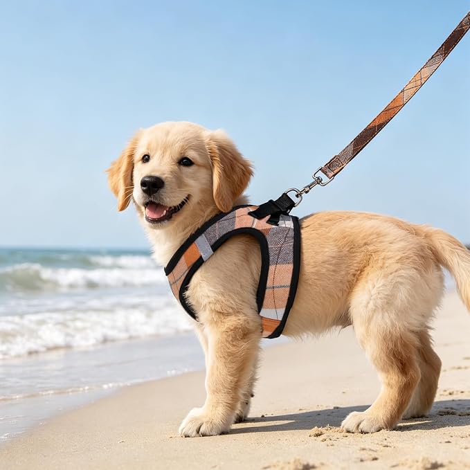 PUPTECK Dog Harness, Collar and Leash Set No Pull for Small Medium Sized | Plaid Puppy Step-in Escape Proof Reflective No Choke Pet Cat Adjustable Walking Vest - Image 9