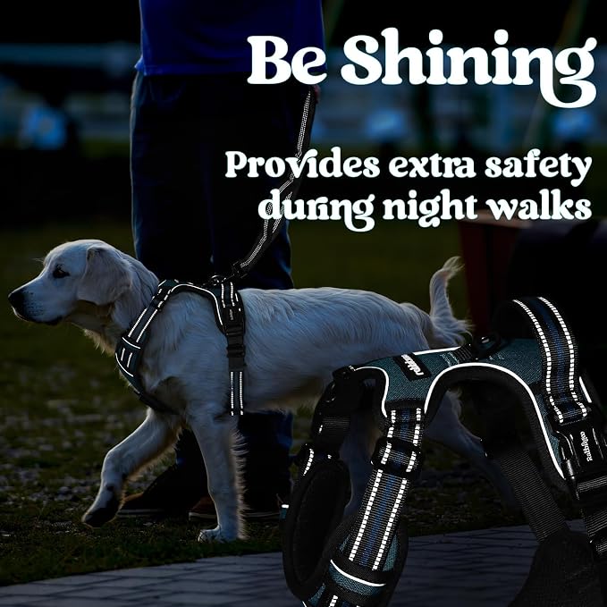 rabbitgoo Dog Harness Small Sized, Updated Easy On & Off with 3 Buckles | No Pull No Choke, Walking with 2 Clips and Handle, Adjustable Soft Reflective, Blue Coral, Small - Image 9