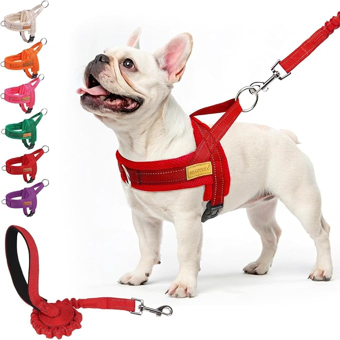 BEAUTYZOO Dog Harness Medium Sized and Leash Set, No Pull Step in Pet Vest | Breathable Mesh with Handle, Reflective, Adjustable No Choke Escape Proof, Lightweight, Easy Control for Walking, Red M by BEAUTYZOO