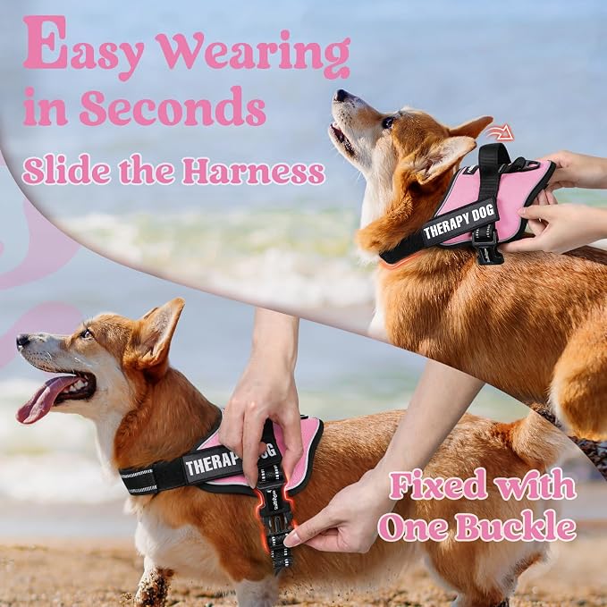 rabbitgoo No Pull No Choke Pet Vest, Adjustable Pet Harness with Molle | Large Sized Dog Harness, Reflective, Easy Wearing with One Buckle for Walking, Training, Pink, L - Image 3