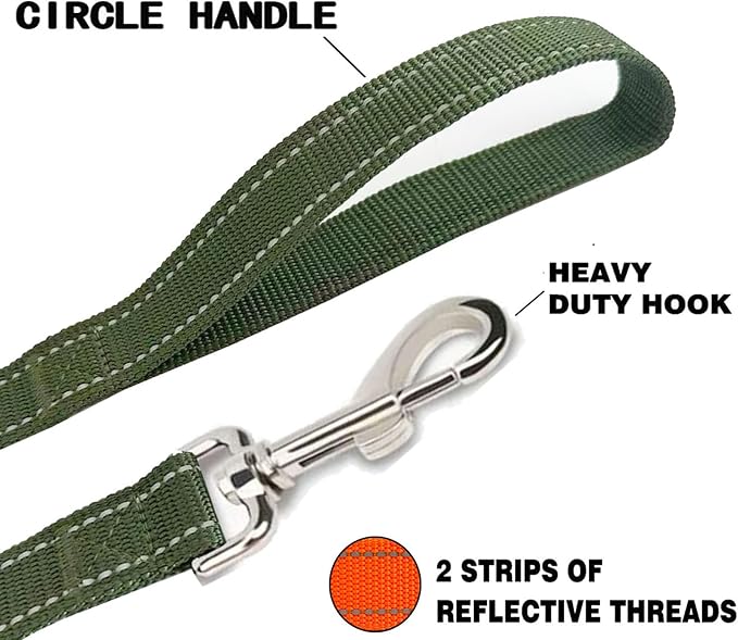 Reflective Dog Leash 4Ft /5 Foot /6 Feet Long, 1 Inch Wide, for Small and Medium Dogs - Image 4