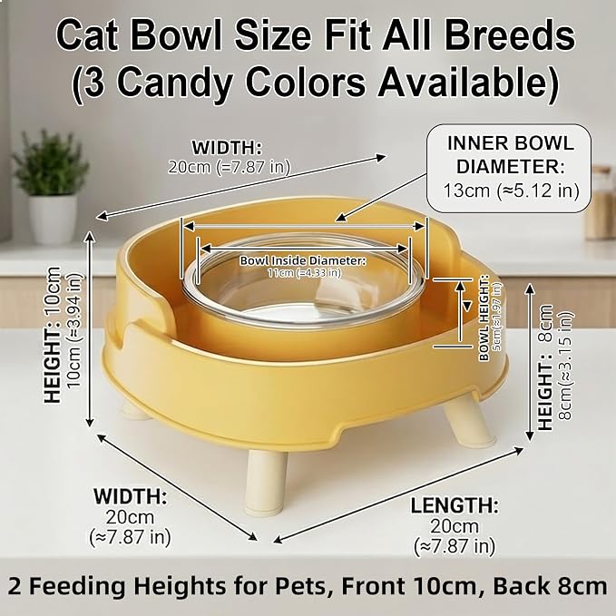 Ant Not Cross Elevated Cat Bowls Mess Proof-2 Food Grade Glass Bowls & 1 Lids- No Spill Cat Food and Water Feeding Station for Cats&Puppy Indoor & Outdoor,No Whisker Fatigue Dish,Beige - Image 6