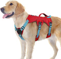 rabbitgoo Escape Proof Dog Harness for Large, No Pull with Lift Handle | No Escape, Full Soft Padded, Reflective Adjustable Vest, Leash Clip for Walking Hiking Training, Sky Blue & Red, Large by rabbitgoo