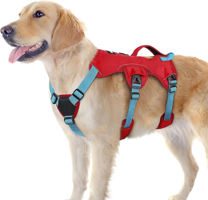 rabbitgoo Escape Proof Dog Harness for Large, No Pull with Lift Handle | No Escape, Full Soft Padded, Reflective Adjustable Vest, Leash Clip for Walking Hiking Training, Sky Blue & Red, Large by rabbitgoo