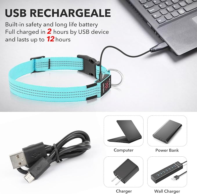 Illumifun LED Dog Collar, Reflective Light Up Collars for Small Dog, USB Rechargeable Pet Collar Light for Dogs Walking Camping (BlueⅢ, Small) - Image 4