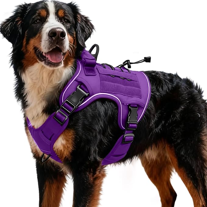 Heavy-Duty Tactical Dog Harness for Large Dogs, No Pull Adjustable Reflective Pet Vest with Molle System, K9 Military-Grade Control for Service Training, Outdoor & 10+ Breeds, Purple, XX-Large by Bruvoalon