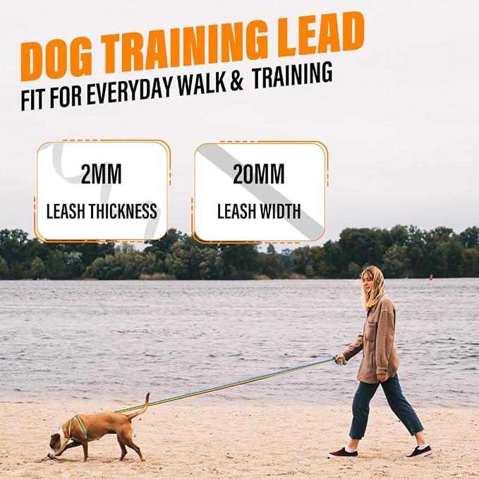 Long Line Dog Training Leash with Padded Handle, 100 ft, Rainbow | Durable nylon webbing with reinforced stitching and 360° swivel clip for recall and obedience - Image 7
