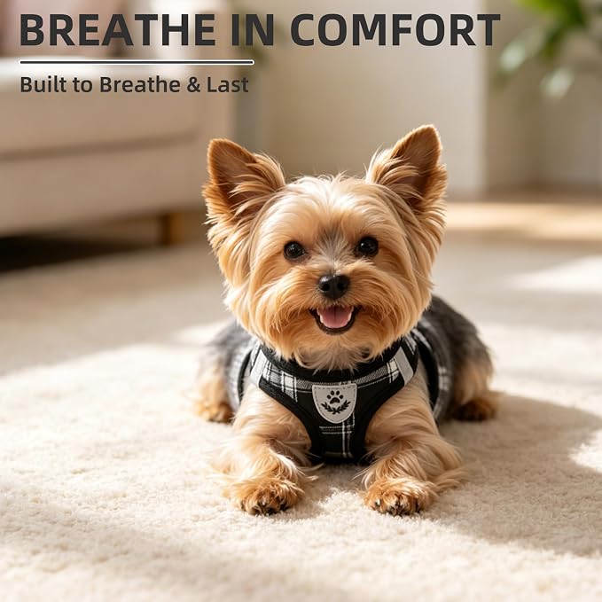 PUPTECK Dog Harness, Collar and Leash Set No Pull for Small Medium Sized | Plaid Puppy Step-in Escape Proof Reflective No Choke Pet Cat Adjustable Walking Vest - Image 8
