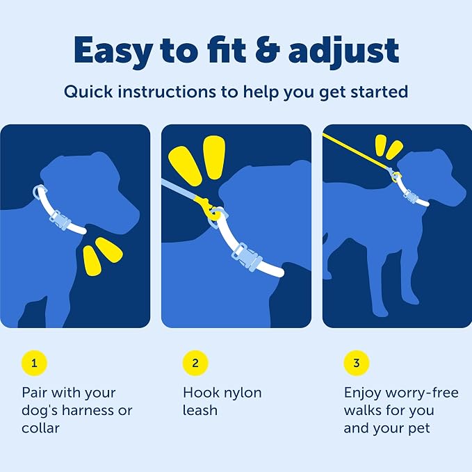 PetSafe Nylon Dog Leash - Strong, Durable, Traditional Style Leash with Easy to Use Bolt Snap - 1 in. x 4 ft., Red | Durable Nylon Leash with Easy on/off Bolt Snap Hook, Pairs Perfectly with Easy Walk Harness and Gentle Leader Headcollar - Image 6