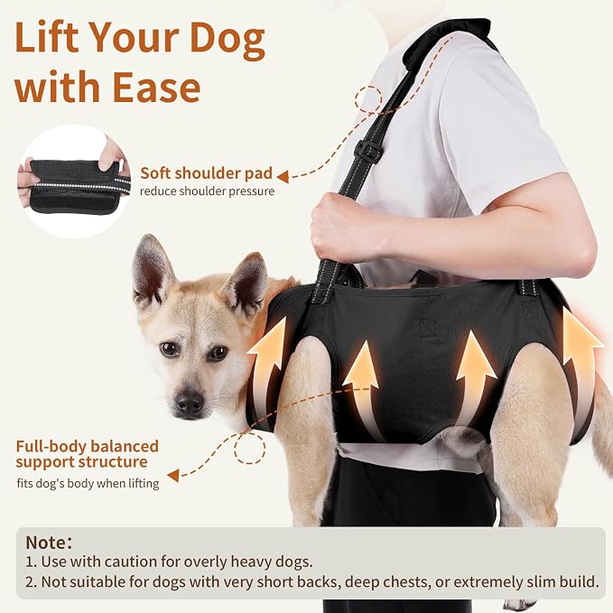 Full Body Dog Lift Harness, Support Senior & Disabled Dogs Walking | Help Up & Down Stairs Grooming, Dog Sling Backpack, Front Hind Leg Joint Injuries, Reflective, Soft Padded Handle | Black, S - Image 2