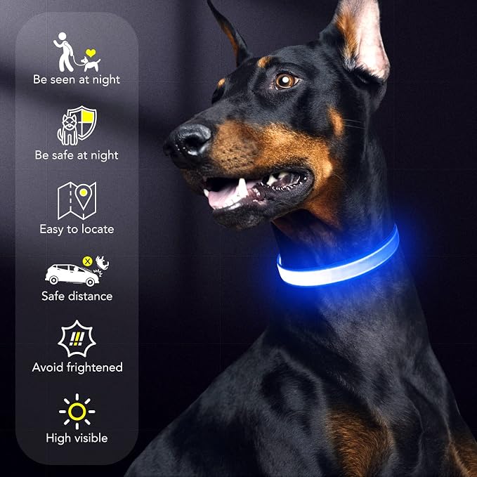 Only Half The Collar Lights LED Dog Collar Light Up Dog Collars USB Rechargeable, Adjustable Size Heavy Duty TPU Nylon Webbing Glow Safety Basic Dog Collars for Large Medium Dogs(L, Royal Blue) - Image 6