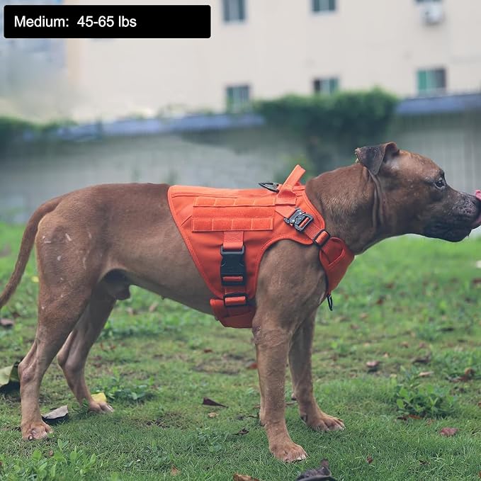 ICEFANG Tactical Dog Harness for Medium Dogs,Reflective No Pull Dog Vest | with Control Handle,Adjustable,Front Hook,2 Leash Clips,Soft Padded,MOLLE Panel,Orange,Medium - Image 2