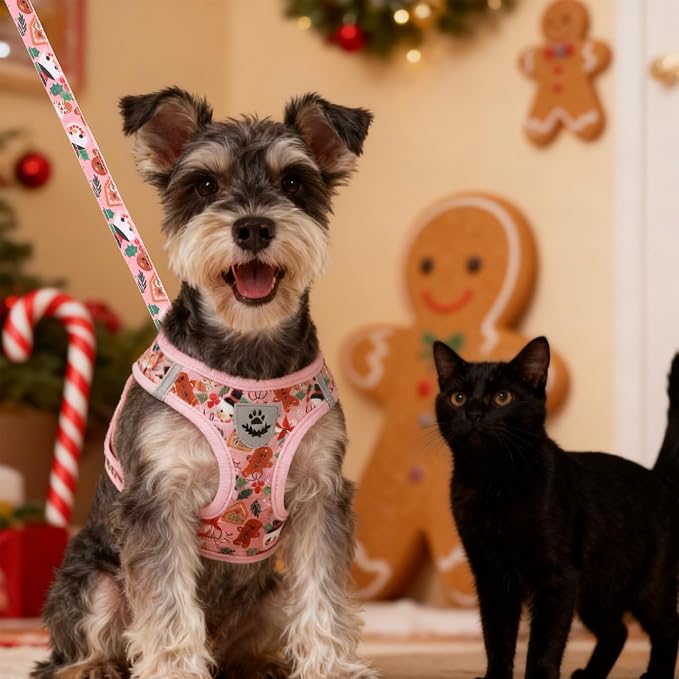 Christmas Puppy Harness - Dog Collar and Leash - Soft Mesh Padded Adjustable Step in Small Dog Vest Harness No Pull, Reflective Escape Proof for Outdoor Walking, Red S - Image 7