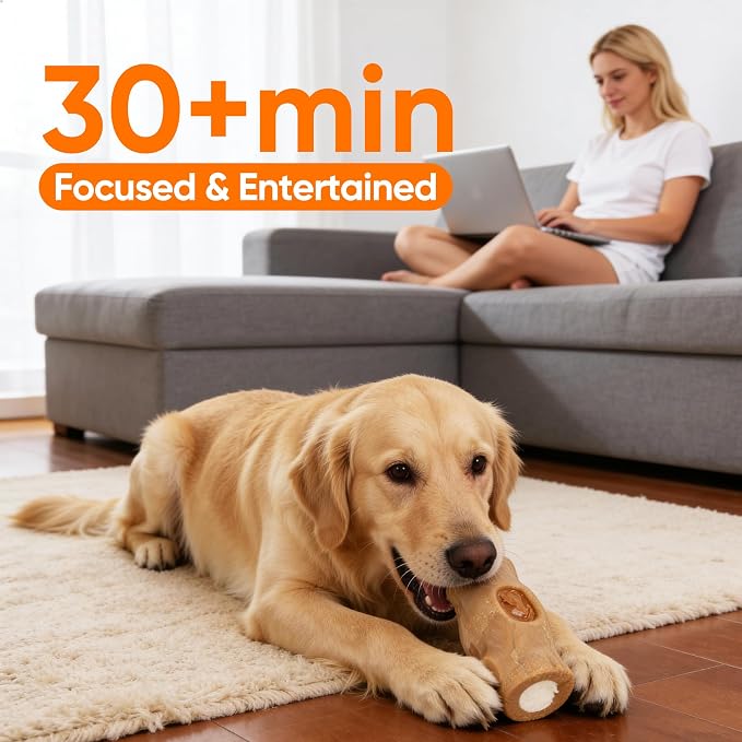 2-Pack Indestructible Chew Toys for Aggressive Chewers | Tough Dog Toys to Keep Them Busy with Durable Nylon&Frozen Treat dog toy to Relieve Boredom & Anxiety - Image 5