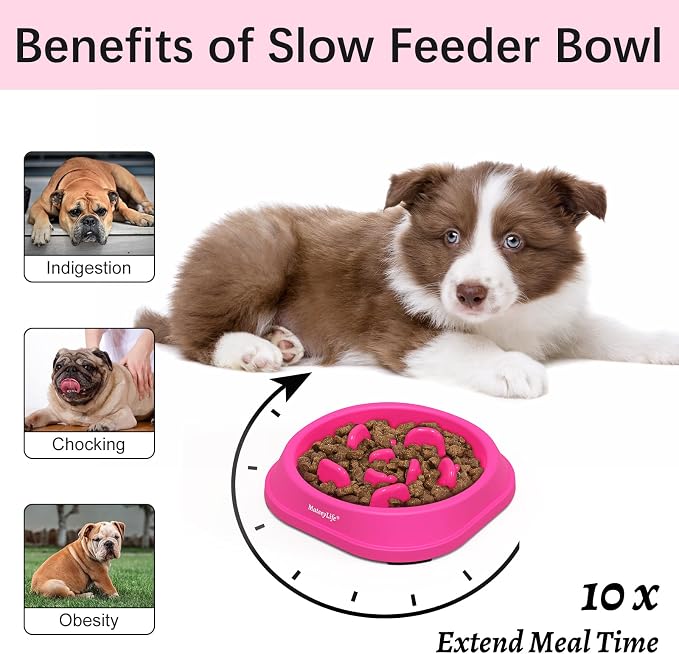 MateeyLife 1-Pack Slow Feeder Dog Bowls, 1 Cup, Dog Puzzle Feeder Bowl | Food-contact safe, dishwasher safe, non-slip base, maze design, for fast eaters, for dogs and cats, daily mealtimes - Image 2