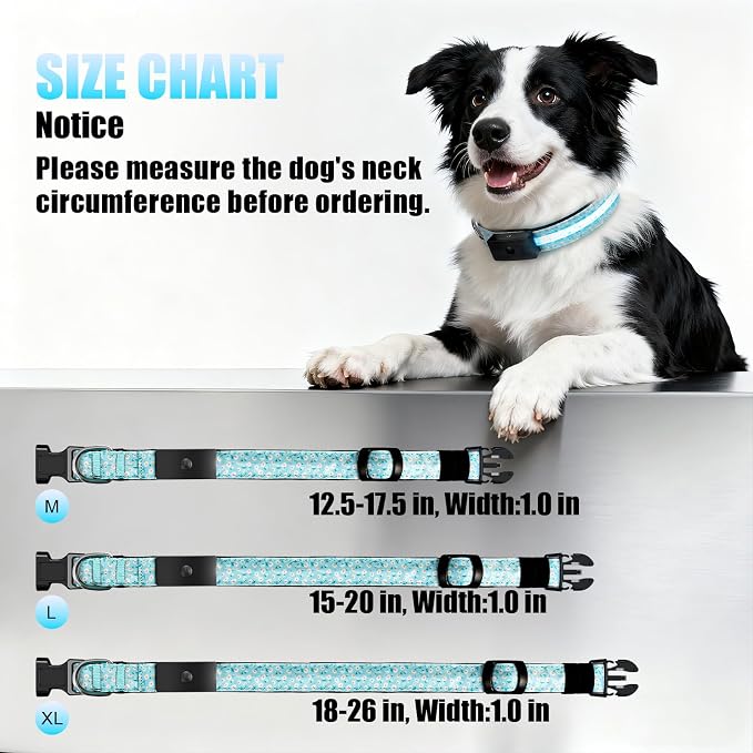 LED Dog Collar Rechargeable, Brightest Light Up Dog Collars, Daisy M | 1,600 Feet of High Visibility, Magnetic Charging, Glow in Dark Dog, Nylon Materials, Lights for Night Walking - Image 7