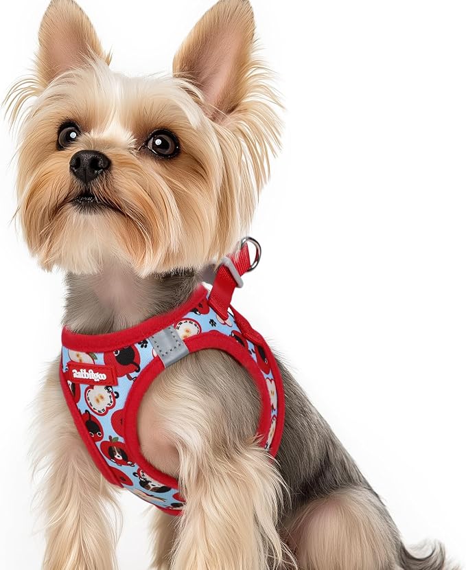 rabbitgoo Step-in Small Dog Harness, Puppy Vest for Small Sized Pet | Easy Put on and off, Lightweight, Soft, Breathable Quick-Dry Air Mesh for Comfortable Secure Walking, Apple Pups XS by rabbitgoo