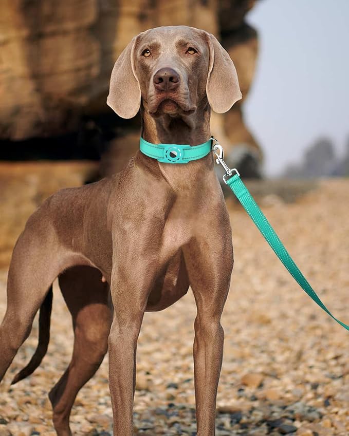4FT Reflective Dog Leash, Padded Handle for Medium Large Dogs | Comfortable Nylon, Soft Handle Cushioning, Reflective Safety at Night, Training Leash for Park & Hiking (1in, Turquoise) - Image 2