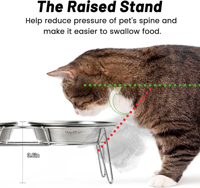 Elevated Cat Bowls, Wide Stainless Steel Cat Food Bowls with Metal Stand Whisker Stress-Free, Raised Food and Water Dish for Cats, Kitten, Puppies and Small Dogs - Image 2