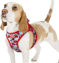 rabbitgoo Step-in Small Dog Harness, Puppy Vest for Small Sized Pet | Easy Put on and off, Lightweight, Soft, Breathable Quick-Dry Air Mesh for Comfortable Secure Walking, Apple Pups M by rabbitgoo