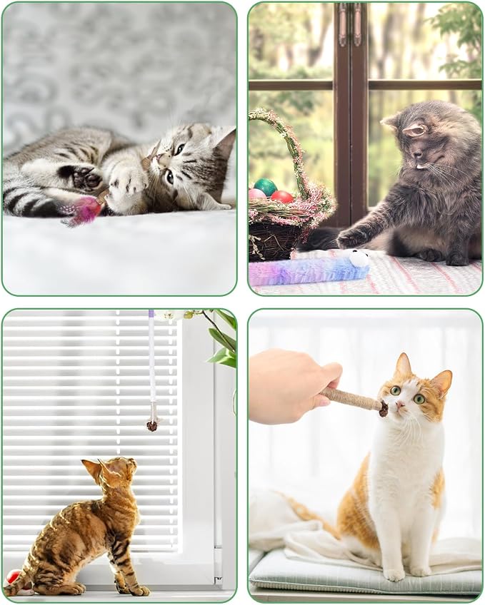 Bissap 20 PCS Silvervine Chew Sticks for Cats, Catnip Chew Ropes Cat Toys for Indoor Cat Kitten Teeth Grinding Interactive Feather Toys for Aggressive Chewers Dental Care - Image 7